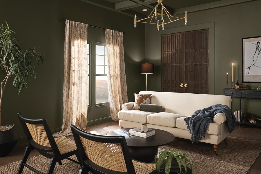 Dutch Boy Paints Announces 2024 One Coat Color Trend Forecast   Dutch Boy Paint Ironside 